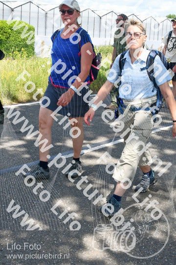 Evenement foto: Nijmeegse Vierdaagse 658