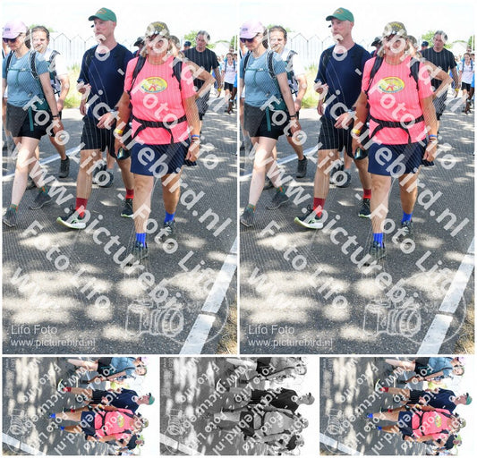 Evenement foto: Nijmeegse Vierdaagse 658