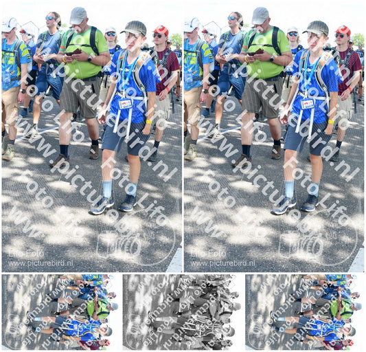 Evenement foto: Nijmeegse Vierdaagse 658