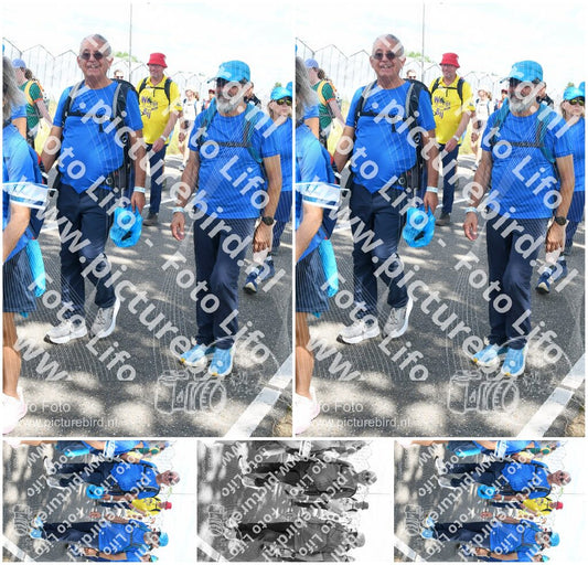 Evenement foto: Nijmeegse Vierdaagse 658
