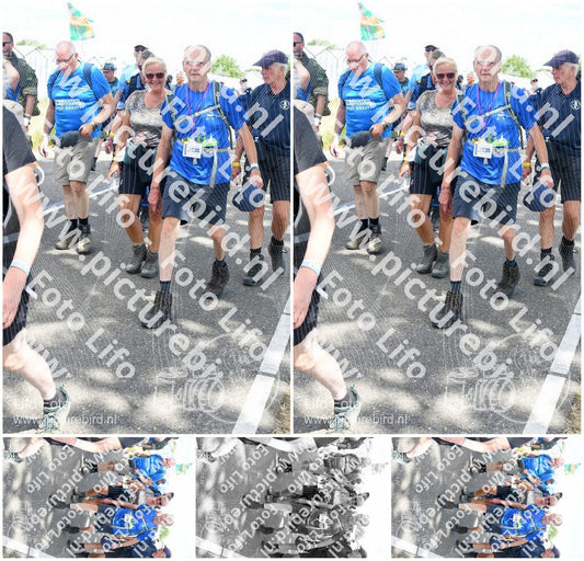 Evenement foto: Nijmeegse Vierdaagse 658
