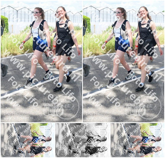 Evenement foto: Nijmeegse Vierdaagse 658
