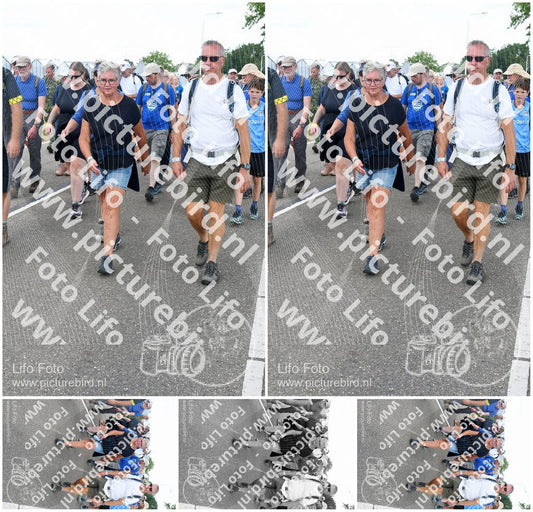 Evenement foto: Nijmeegse Vierdaagse 658