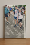 Evenement foto: Nijmeegse Vierdaagse 658