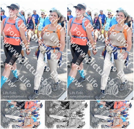 Evenement foto: Nijmeegse Vierdaagse 657