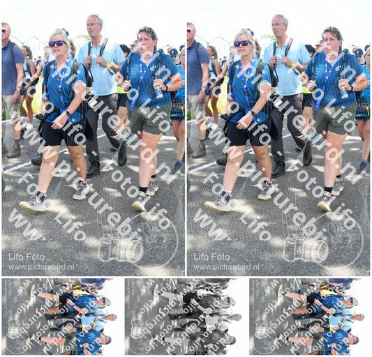 Evenement foto: Nijmeegse Vierdaagse 657