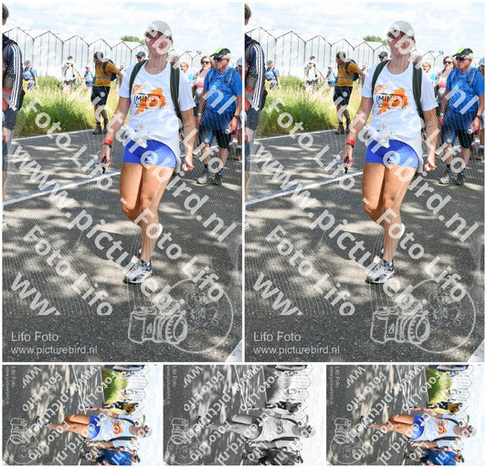 Evenement foto: Nijmeegse Vierdaagse 657
