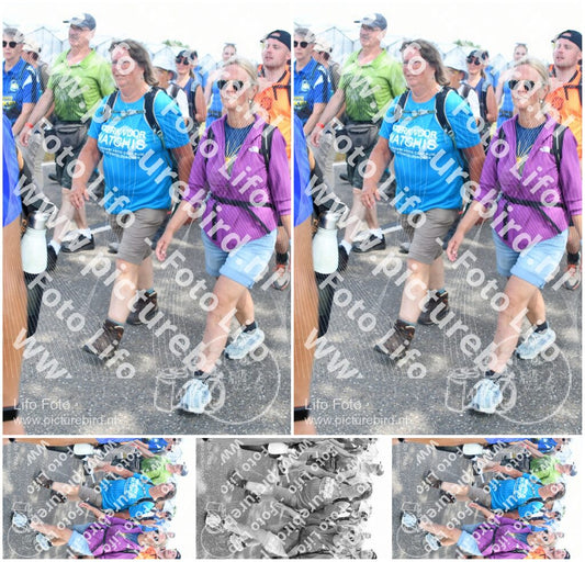 Evenement foto: Nijmeegse Vierdaagse 657