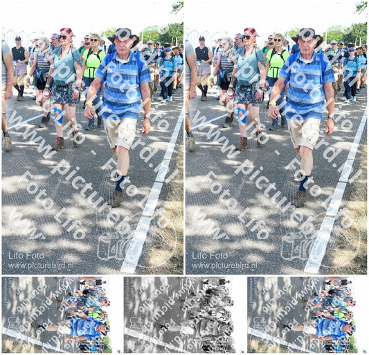 Evenement foto: Nijmeegse Vierdaagse 657