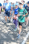 Evenement foto: Nijmeegse Vierdaagse 657