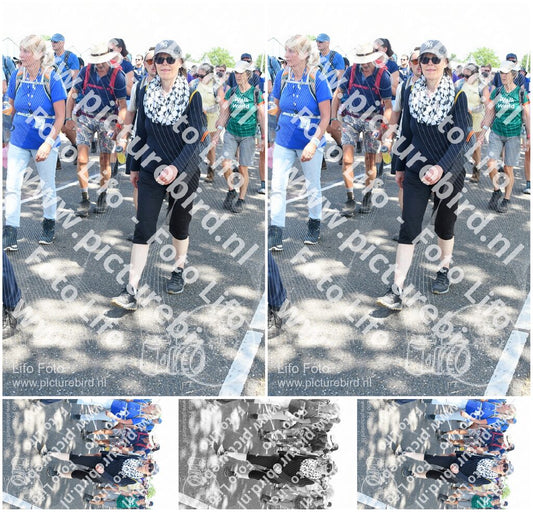 Evenement foto: Nijmeegse Vierdaagse 657