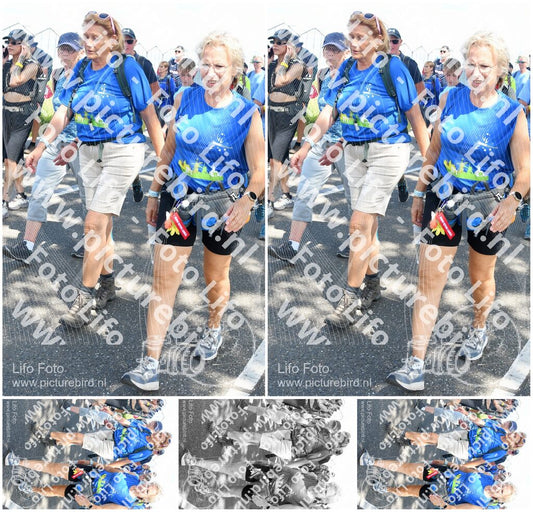 Evenement foto: Nijmeegse Vierdaagse 657