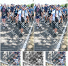Evenement foto: Nijmeegse Vierdaagse 657