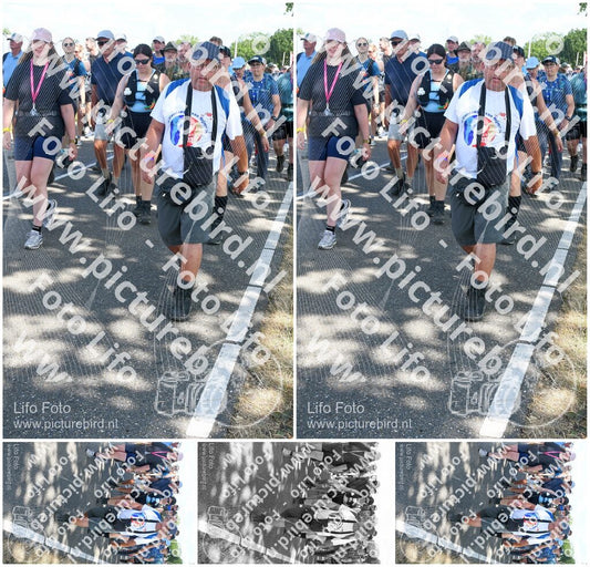 Evenement foto: Nijmeegse Vierdaagse 657