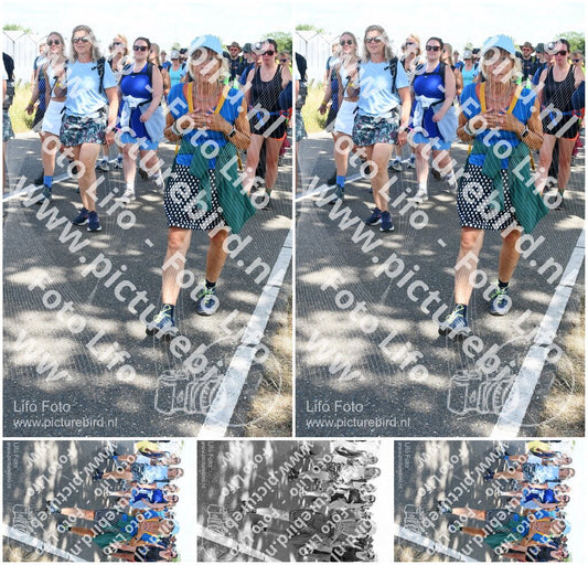 Evenement foto: Nijmeegse Vierdaagse 657