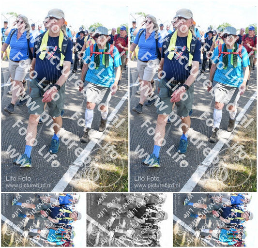 Evenement foto: Nijmeegse Vierdaagse 656