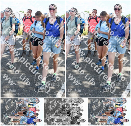 Evenement foto: Nijmeegse Vierdaagse 656
