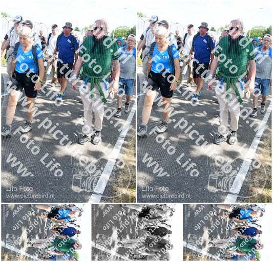 Evenement foto: Nijmeegse Vierdaagse 656
