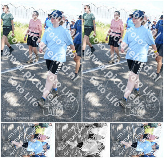 Evenement foto: Nijmeegse Vierdaagse 656