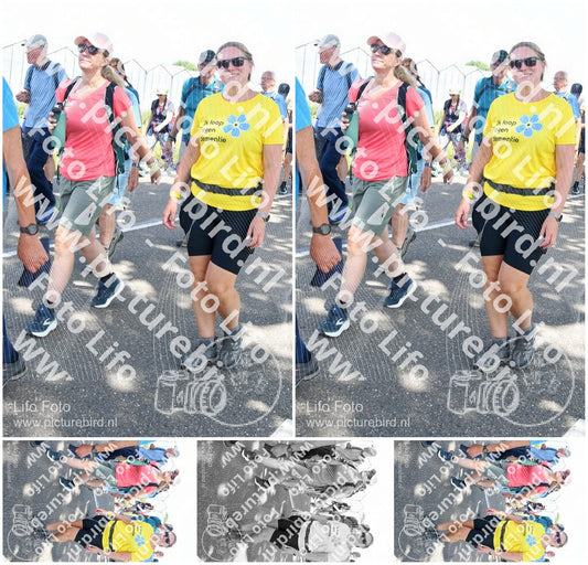Evenement foto: Nijmeegse Vierdaagse 656