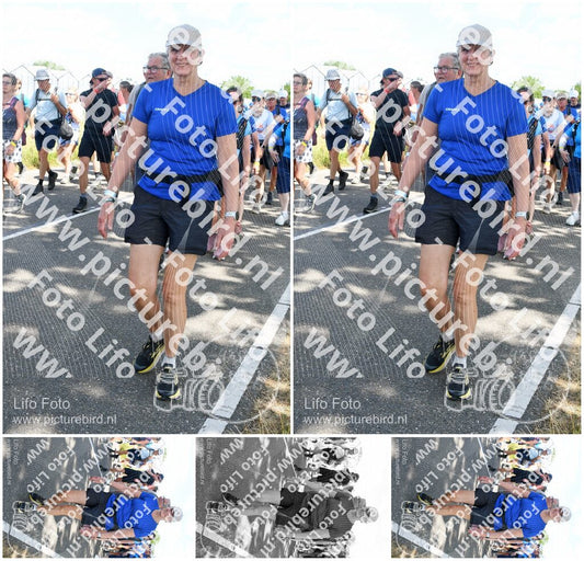 Evenement foto: Nijmeegse Vierdaagse 656