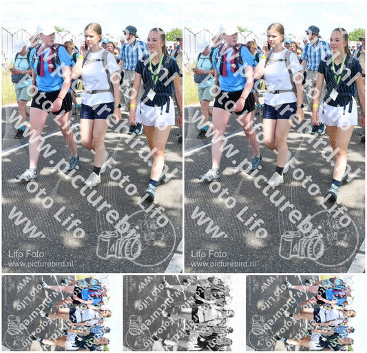 Evenement foto: Nijmeegse Vierdaagse 656