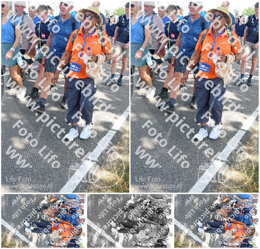 Evenement foto: Nijmeegse Vierdaagse 656
