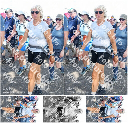 Evenement foto: Nijmeegse Vierdaagse 656