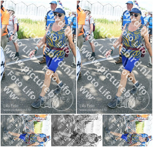 Evenement foto: Nijmeegse Vierdaagse 656