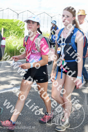 Evenement foto: Nijmeegse Vierdaagse 656