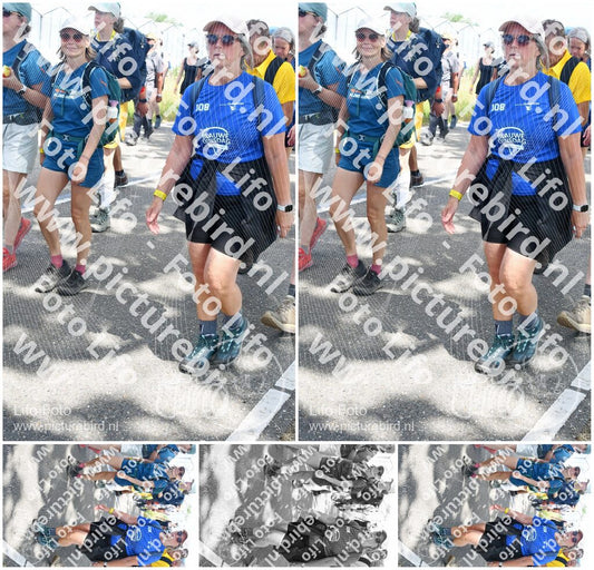 Evenement foto: Nijmeegse Vierdaagse 655