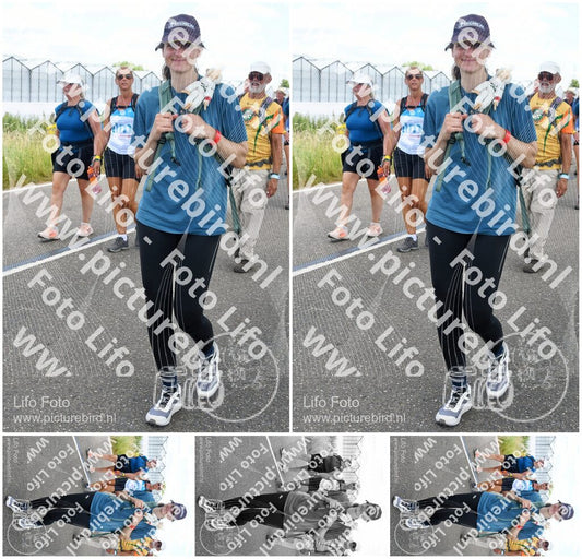 Evenement foto: Nijmeegse Vierdaagse 655
