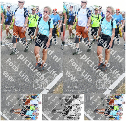 Evenement foto: Nijmeegse Vierdaagse 655