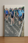 Evenement foto: Nijmeegse Vierdaagse 655