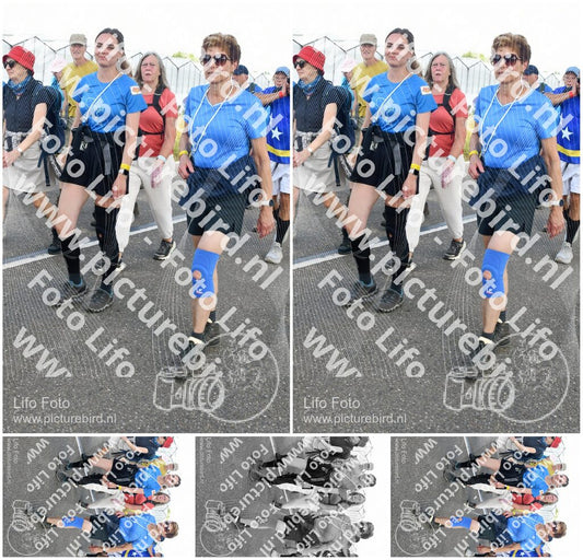 Evenement foto: Nijmeegse Vierdaagse 655