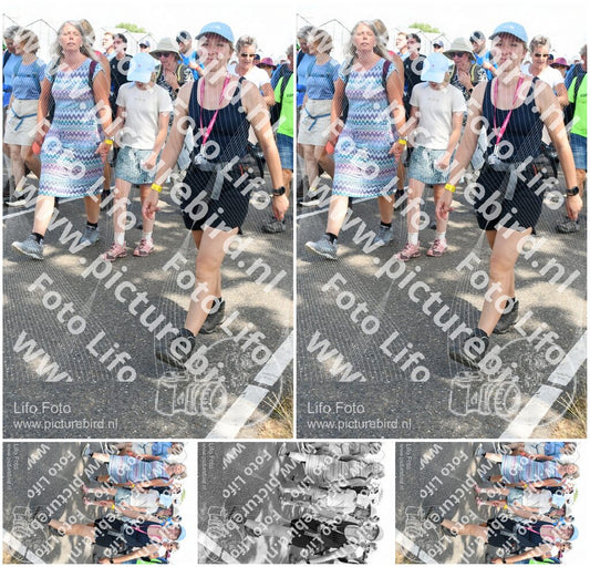 Evenement foto: Nijmeegse Vierdaagse 655