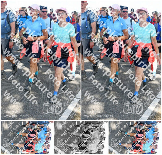Evenement foto: Nijmeegse Vierdaagse 655