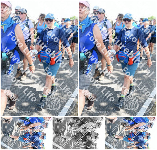Evenement foto: Nijmeegse Vierdaagse 654