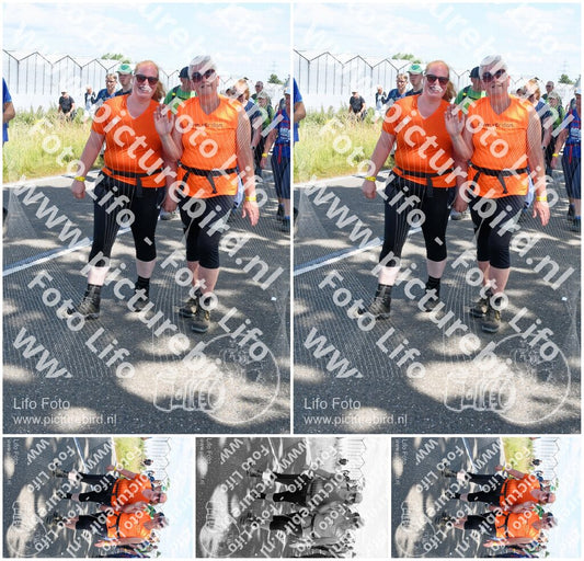 Evenement foto: Nijmeegse Vierdaagse 654