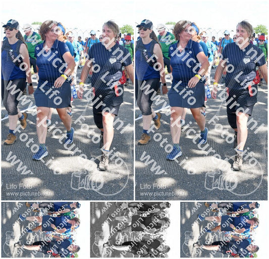 Evenement foto: Nijmeegse Vierdaagse 654