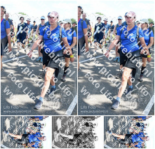 Evenement foto: Nijmeegse Vierdaagse 654