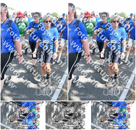 Evenement foto: Nijmeegse Vierdaagse 654