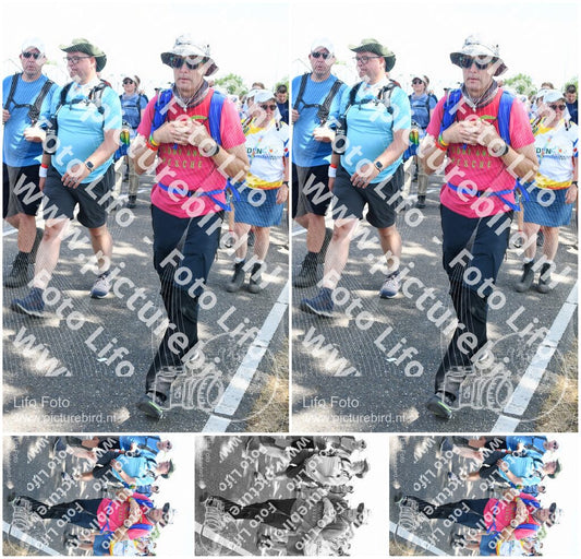 Evenement foto: Nijmeegse Vierdaagse 654