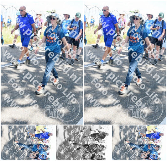 Evenement foto: Nijmeegse Vierdaagse 654