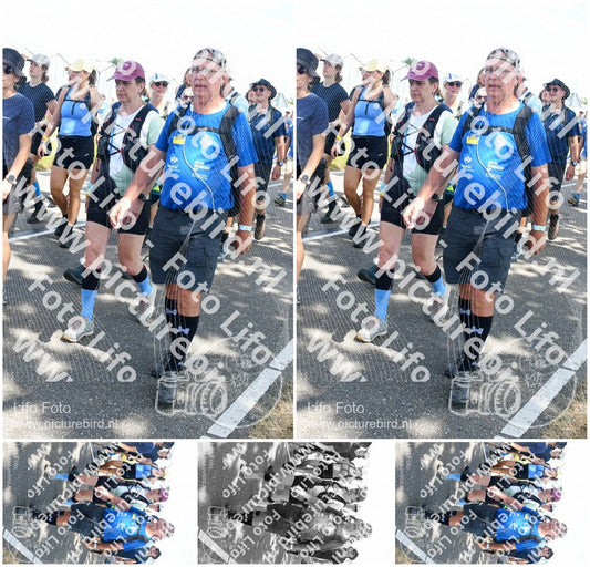 Evenement foto: Nijmeegse Vierdaagse 654