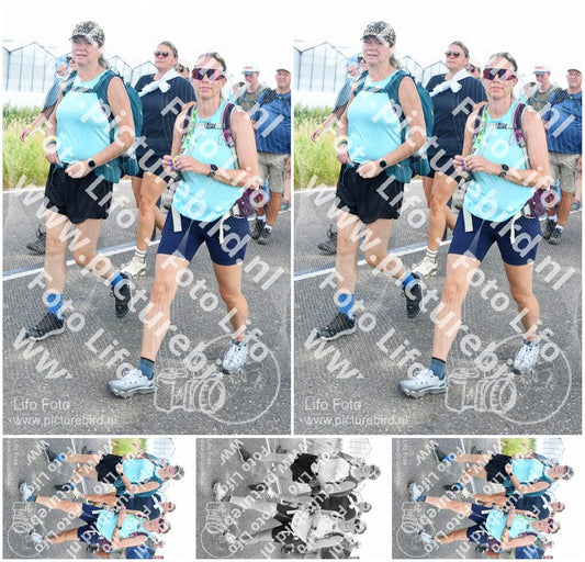 Evenement foto: Nijmeegse Vierdaagse 654
