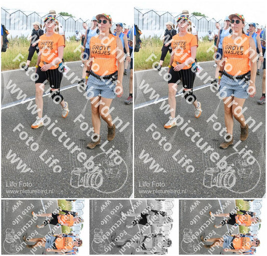 Evenement foto: Nijmeegse Vierdaagse 654