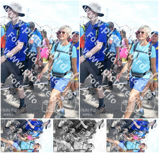 Evenement foto: Nijmeegse Vierdaagse 653