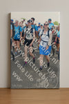 Evenement foto: Nijmeegse Vierdaagse 654