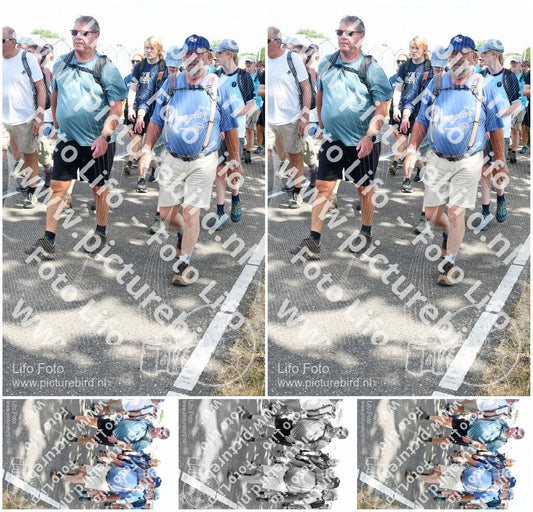 Evenement foto: Nijmeegse Vierdaagse 654